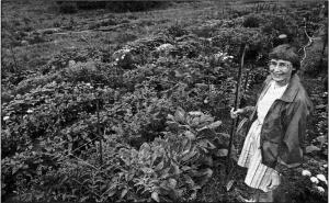 Marjorie Boley is the manager of the Hanover Community Gardens, which are doing well this year. Credit: Valley News - Medora Hebert