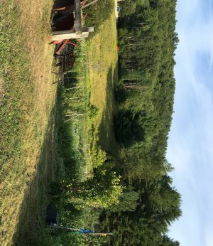 Mowed garden entrance