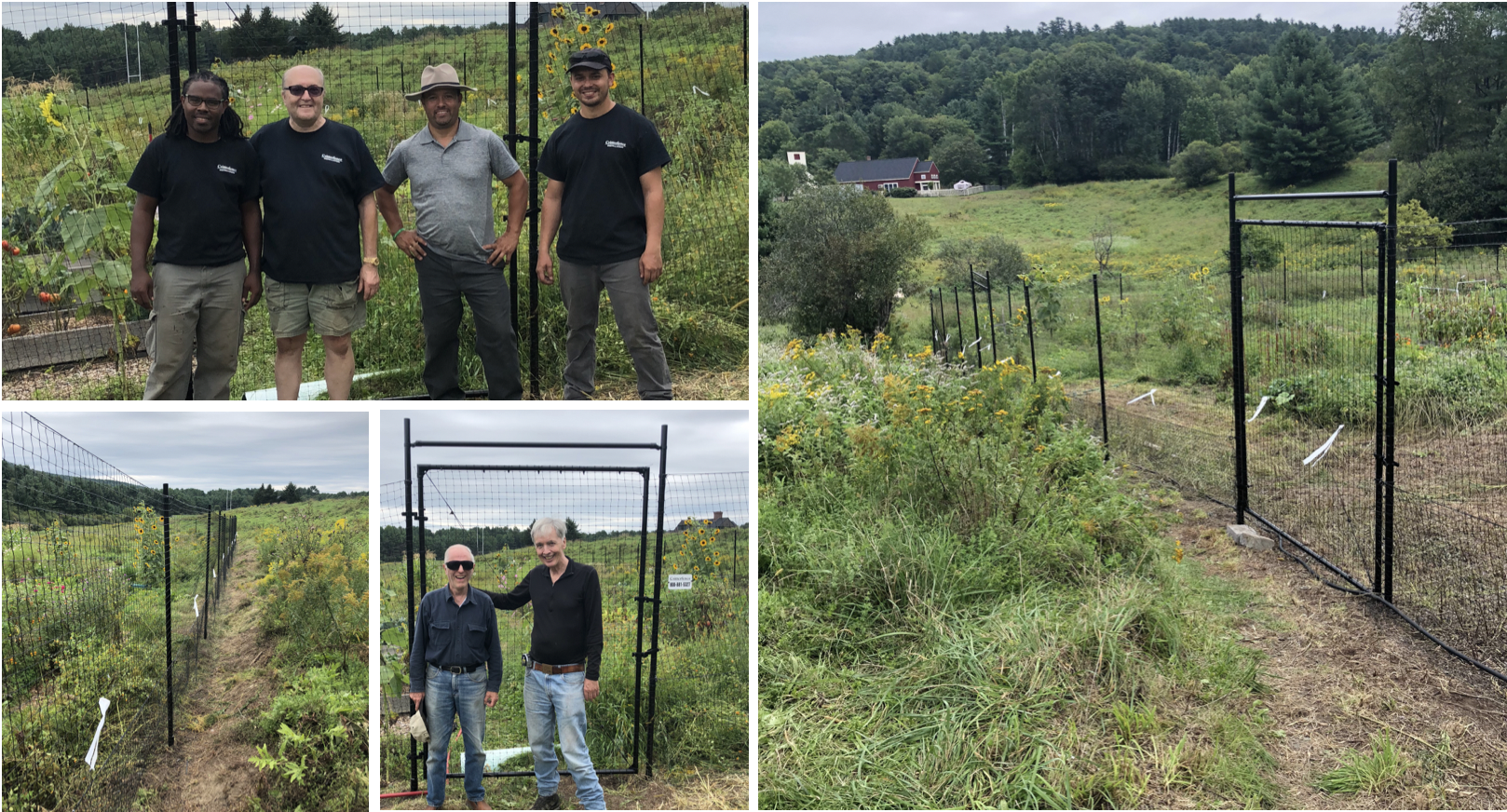 Screen Shot 2018-09-04 at 10.00.34 PM.png